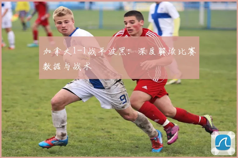 加拿大1-1战平波黑：深度解读比赛数据与战术