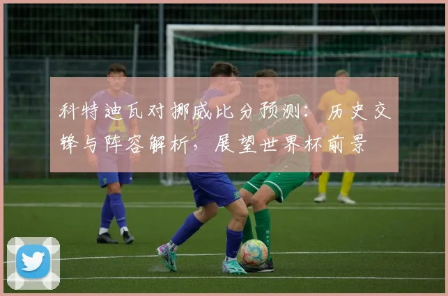 科特迪瓦对挪威比分预测：历史交锋与阵容解析，展望世界杯前景